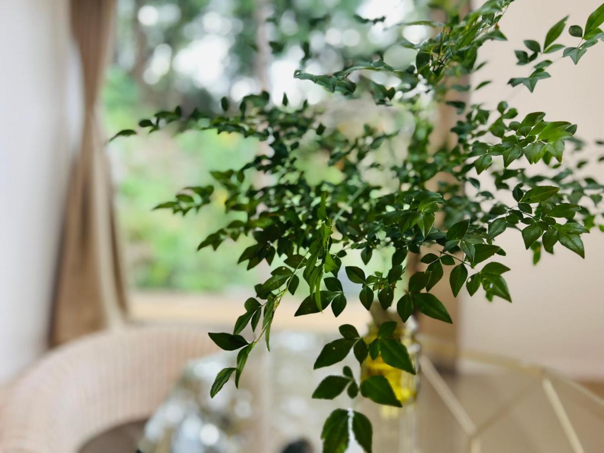 Yama'Oto - Nature Luxury Stay Motobu Bagian luar foto