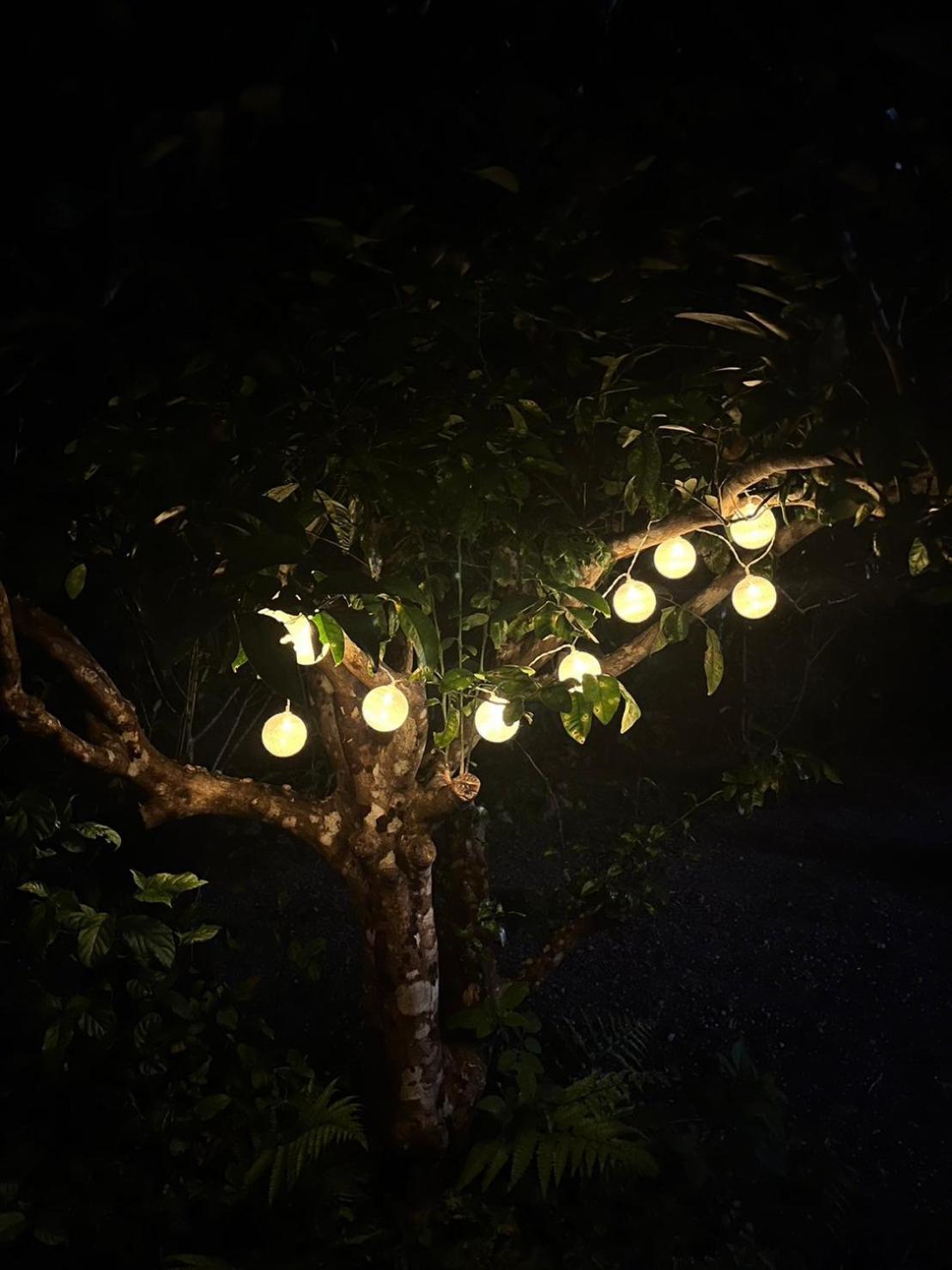 Yama'Oto - Nature Luxury Stay Motobu Bagian luar foto